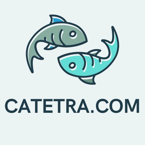 CATETRA.COM