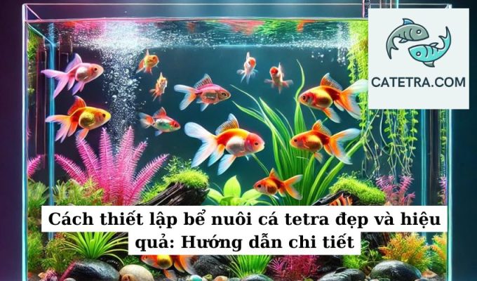 Đặc điểm nhận biết dễ dàng của cá Tetra: Hướng dẫn chi tiết và cụ thể