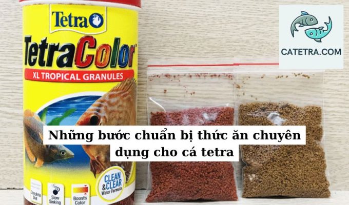 Những bước chuẩn bị thức ăn chuyên dụng cho cá tetra